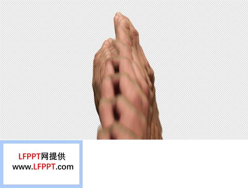 流暢手勢(shi)動(dòng)畫ppt特效動(dòng)畫