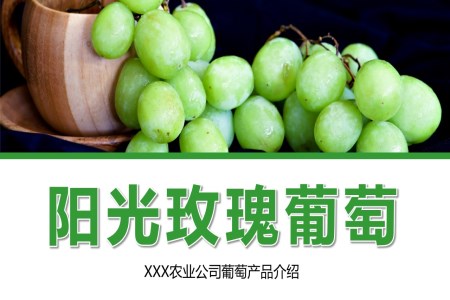 陽(yáng)光玫瑰葡萄産(chan)品(pin)介紹PPT動(dòng)态模闆