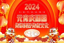 2024元宵節(jie)活動(dòng)策劃規劃PPT