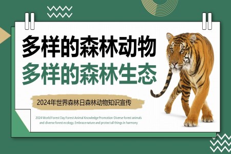 世界森林日(ri)宣傳(chuan)推廣(guang)PPT之(zhi)世界森林日(ri)ppt模闆