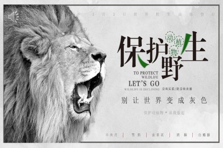 保護野生(sheng)動(dòng)植物(wù)宣傳(chuan)PPT動(dòng)态模闆