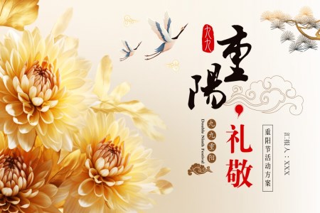 重(zhong)陽(yáng)節(jie)PPT老人(ren)節(jie)活動(dòng)方(fang)案策劃