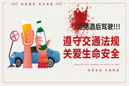 珍愛生(sheng)命拒絕酒駕酒駕警示教育PPT