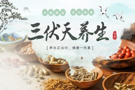中(zhong)醫(yī)養生(sheng)三伏天養生(sheng)介紹PPT