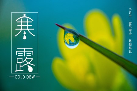 中(zhong)國(guo)傳(chuan)統二十四節(jie)氣(qi)寒露PPT之(zhi)寒露ppt模闆
