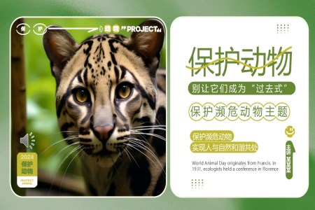保護瀕危動(dòng)物(wù)主(zhu)題班會PPT含講稿