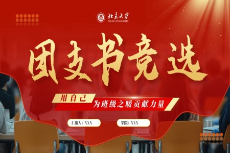 大(da)學(xué)團(tuán)支書競選競聘PPT含講稿