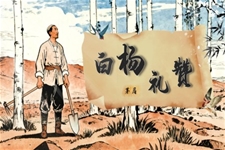 《白楊禮贊》部(bu)編八年(nian)級語文(wén)上冊第四單(dan)元PPT課件含教案