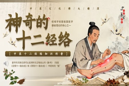 十二經(jing)絡介紹PPT含講稿
