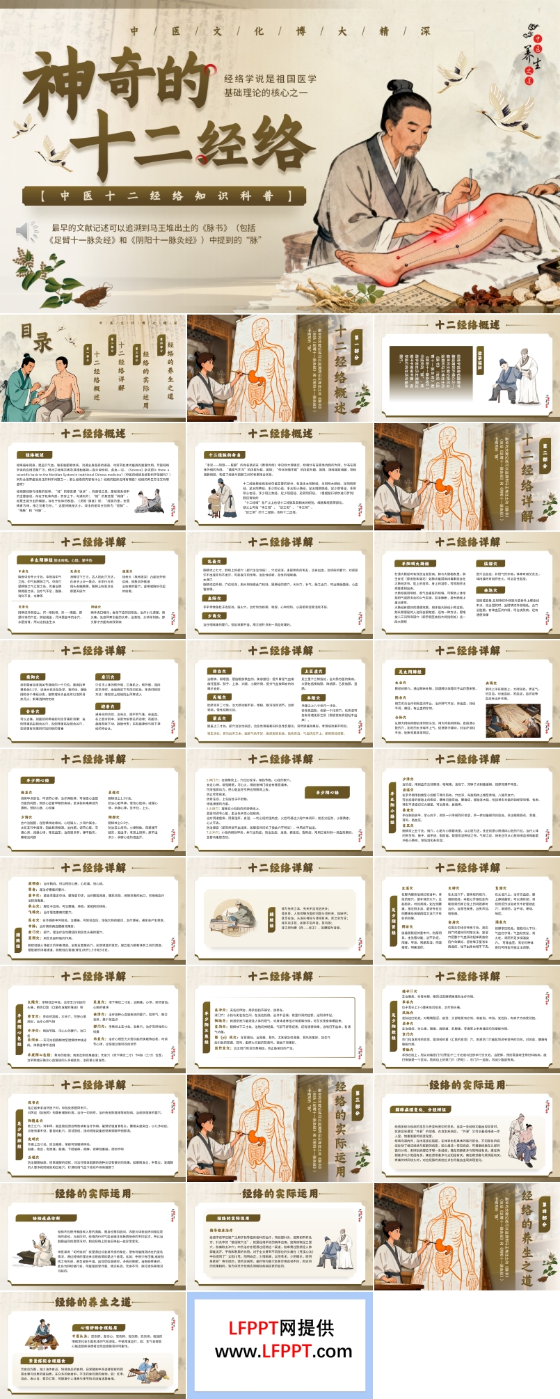 十二經(jing)絡介紹PPT含講稿