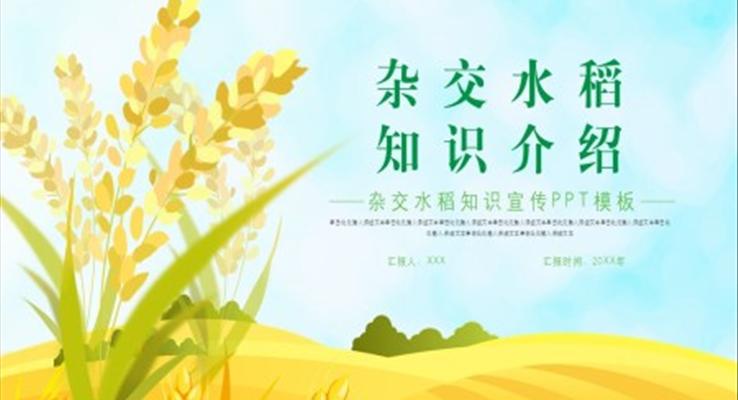 雜交水稻ppt演講之(zhi)演講演說PPT模闆