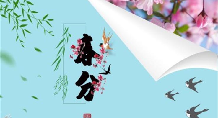 關于(yu)春分(fēn)ppt