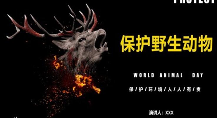 保護野生(sheng)動(dòng)物(wù)ppt幻燈片
